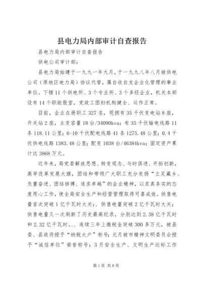 县电力局内部审计自查报告.docx