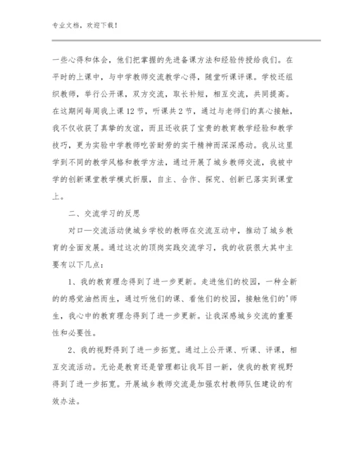 2023年务实担当教师心得体会例文27篇.docx