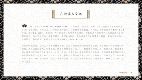 中国古典风梅花纹理宣传通用PPT模板