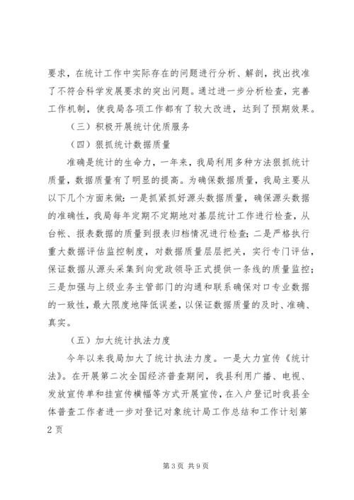 统计局工作总结和工作计划.docx