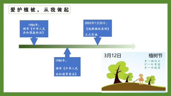 3.6 爱护植被，绿化祖国2023-2024学年七年级生物上册精品课件（人教版）(共21张PPT)