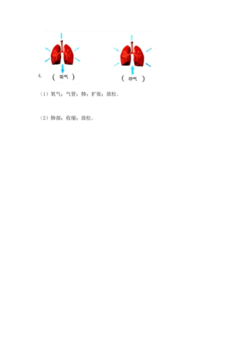 教科版科学四年级上册期末测试卷新版.docx