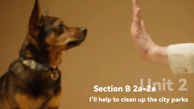 Unit2 Section B 2a-2e 课件 新目标八下Unit 2 I'll help to 