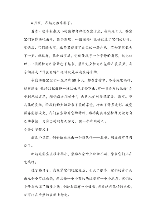 春蚕小学作文