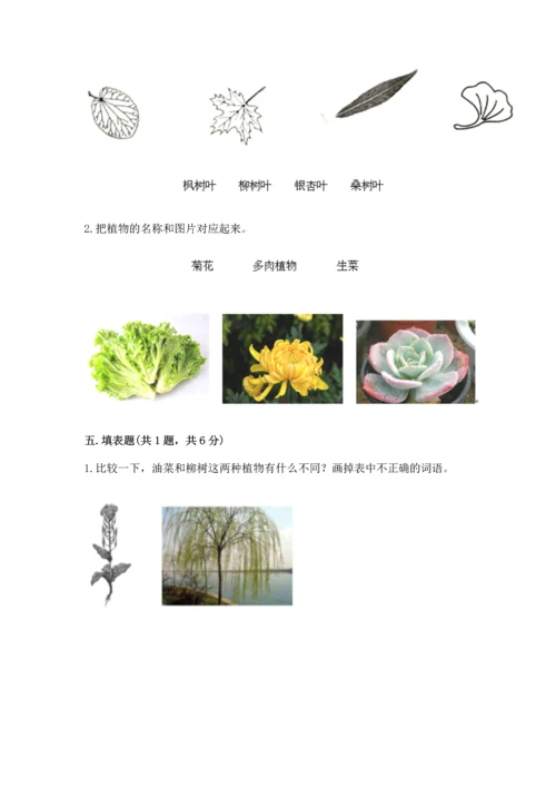 教科版科学一年级上册第一单元《植物》测试卷附答案【培优】.docx