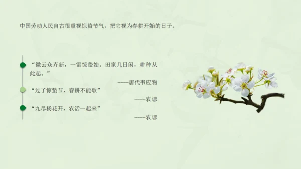 惊蛰淡绿色二十四节气实践教学课件通用PPT模板