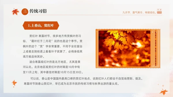 白色淡雅实拍风中国传统节气寒露节气介绍PPT