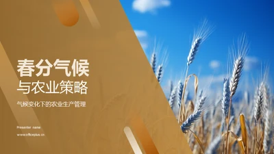 春分气候与农业策略