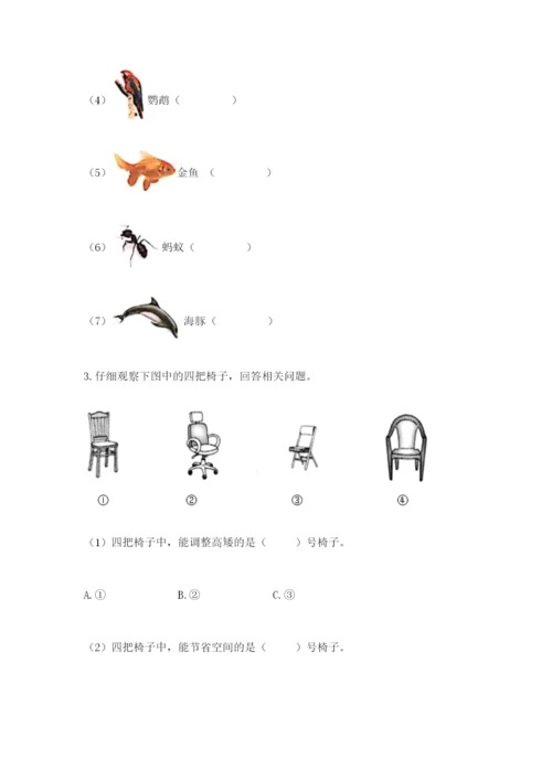 教科版小学二年级上册科学期末测试卷及完整答案【网校专用】.docx