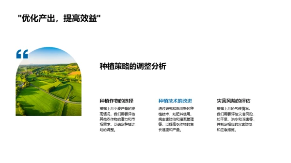 农业效益分析及展望