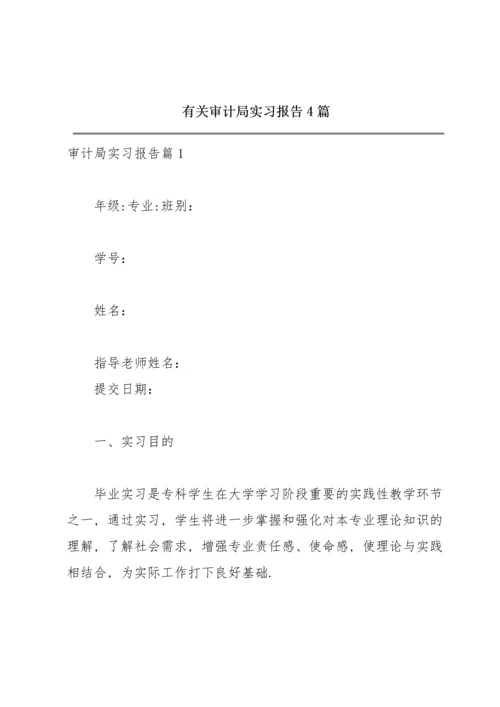 有关审计局实习报告4篇.docx