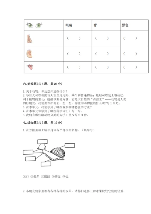 教科版一年级下册科学期末测试卷含答案【培优b卷】.docx