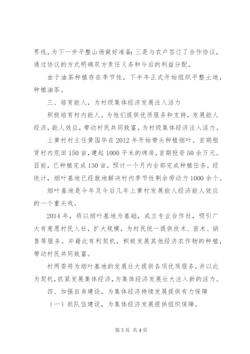 村级集体经济发展壮大典型材料.docx