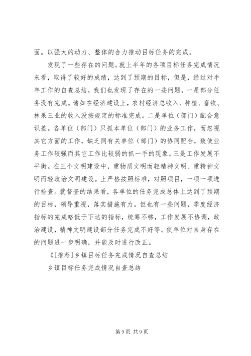 乡镇目标任务完成情况自查总结工作总结.docx