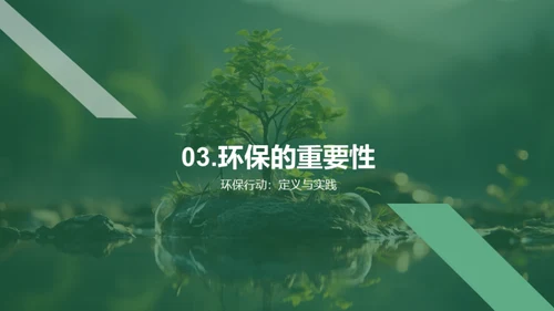 植树环保的探究