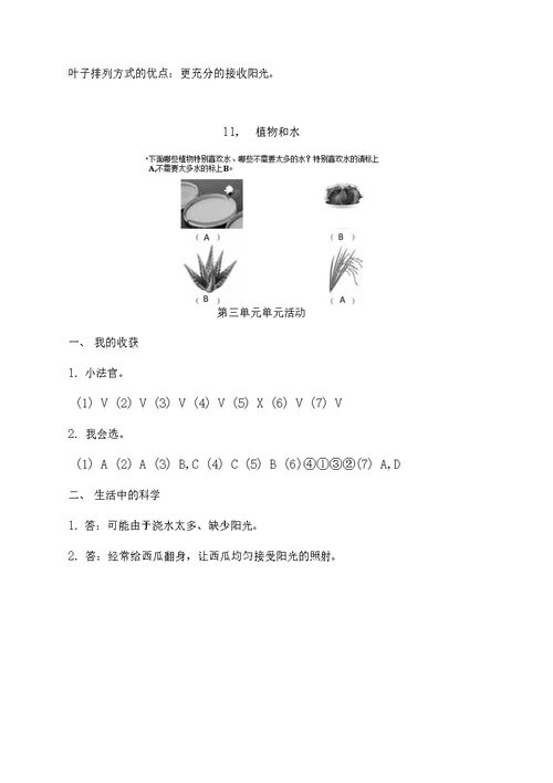 青岛版小学科学二年级上册科学基训参考答案