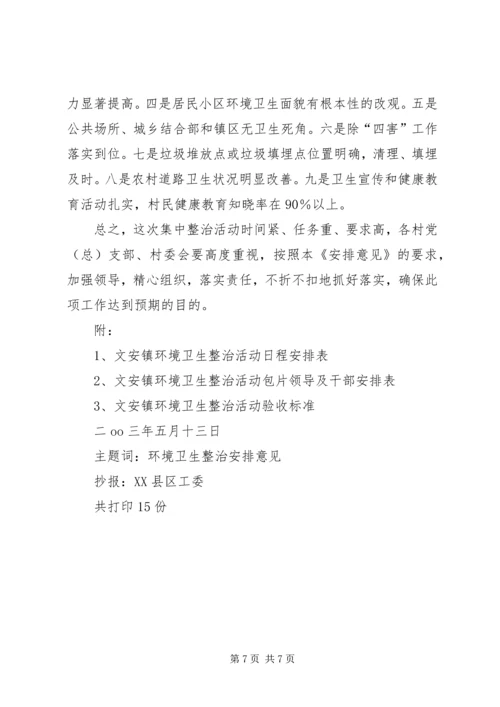 环境卫生集中整治安排意见精编.docx