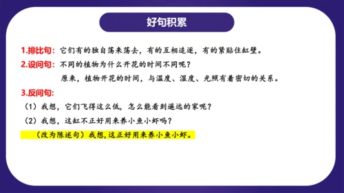 统编版三年级语文下学期期中核心考点集训第四单元（复习课件）