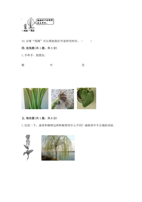 教科版一年级上册科学期末测试卷（基础题）.docx