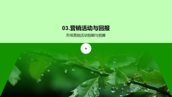 谷雨营销增长策略