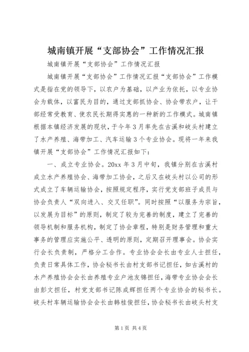 城南镇开展“支部协会”工作情况汇报 (6).docx