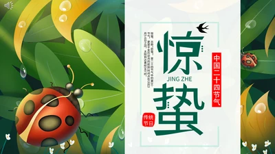 七星瓢虫惊蛰PPT模板