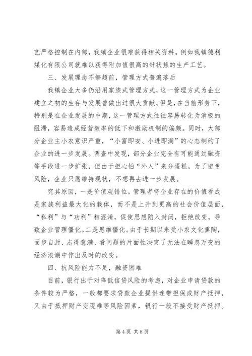 乡镇工业企业的调研报告.docx