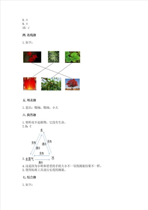 教科版一年级上册科学期末测试卷【培优b卷】