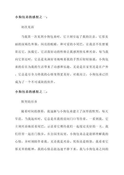 小狗包弟的感想