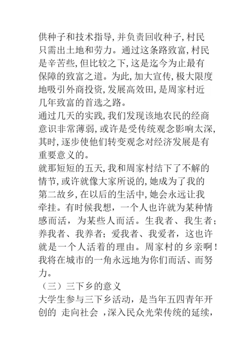 09年大学生三下乡实践论文--精品范文.docx