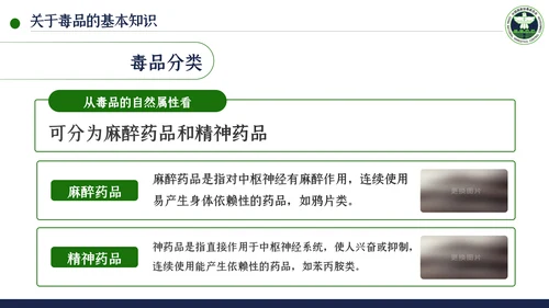 国际禁毒日珍爱生命远离禁毒教育模板