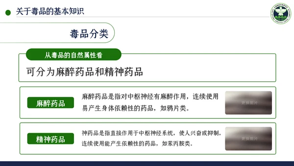 国际禁毒日珍爱生命远离禁毒教育模板