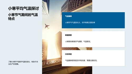 小寒农业应对策略PPT模板