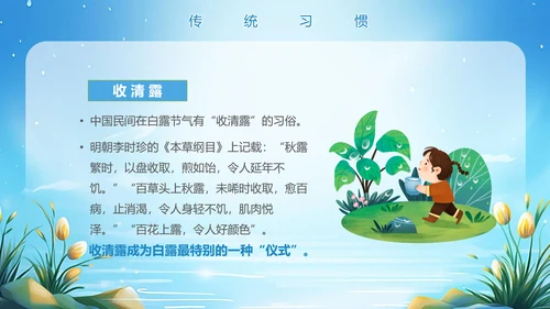 美丽的梦幻传统节气白露PPT模板