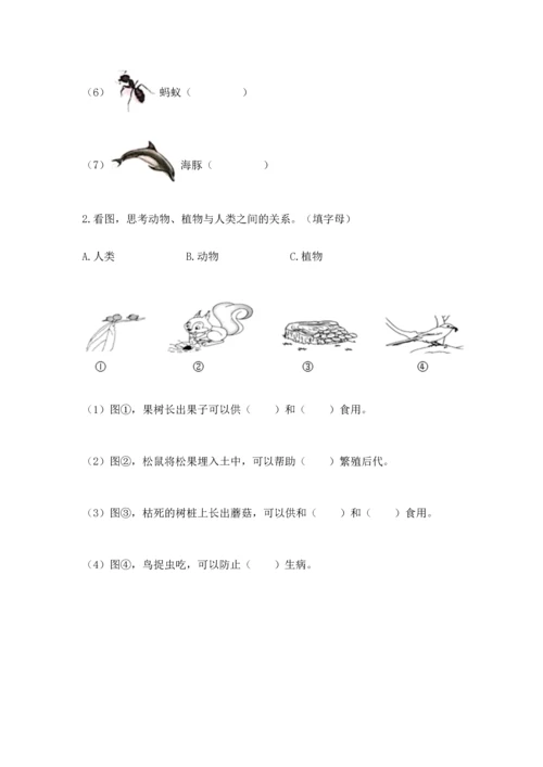 教科版二年级上册科学期末测试卷含完整答案【历年真题】.docx
