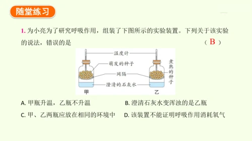 3.2.3呼吸作用-七年级生物下学期同步精品课件（2024人教版）(共24张PPT)