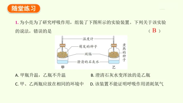 3.2.3呼吸作用-七年级生物下学期同步精品课件（2024人教版）(共24张PPT)