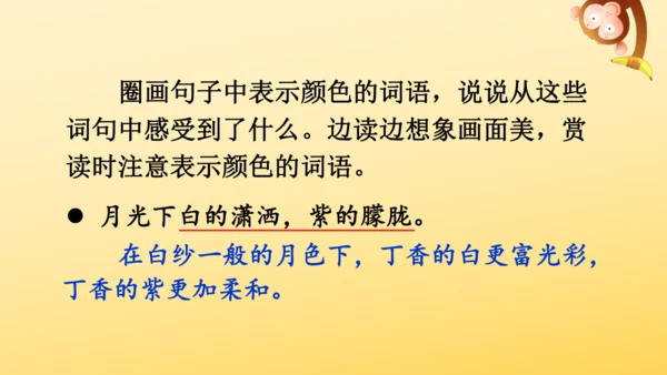 2 丁香结  课件