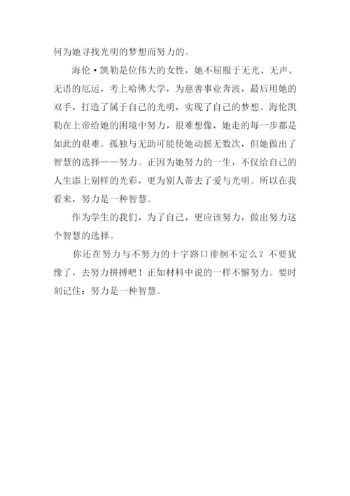 努力是一种智慧作文800字.docx