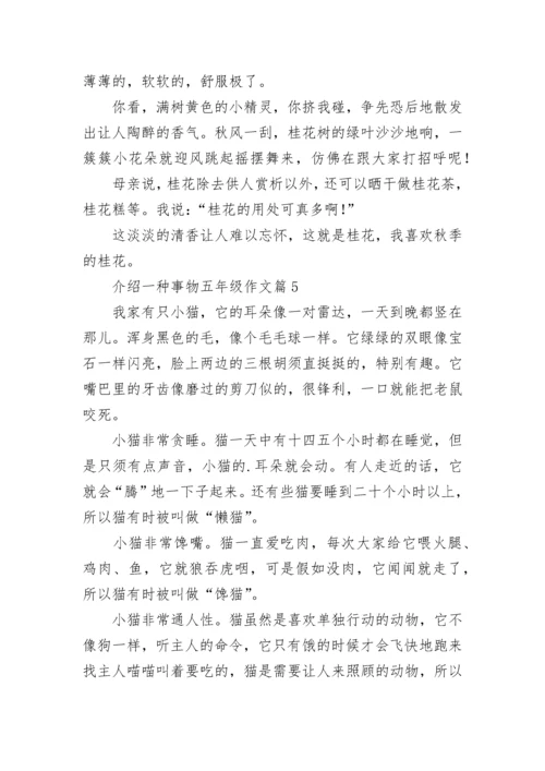 介绍一种事物五年级作文（精选10篇）.docx