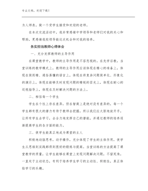 2023年务实担当教师心得体会例文27篇.docx