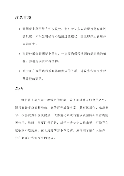 野胡萝卜草的功效和作用
