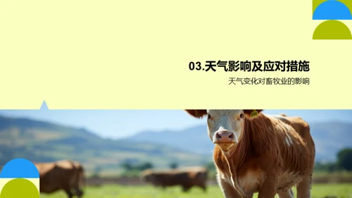 畜牧业季度绩效回顾