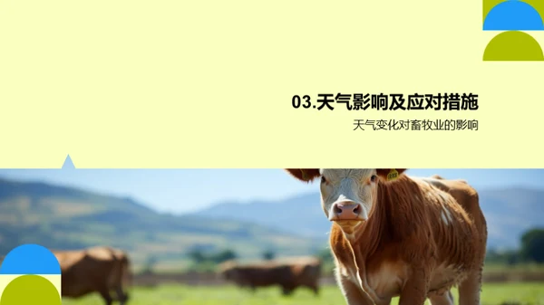 畜牧业季度绩效回顾