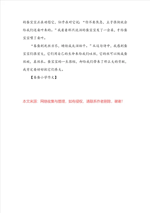 春蚕小学作文