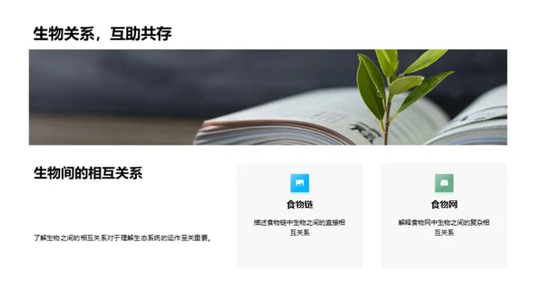 探索生态系统