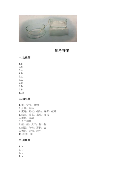 教科版一年级下册科学期末测试卷带答案解析.docx