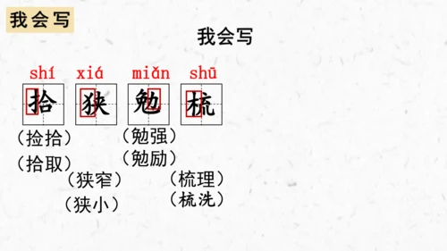 第17课《松鼠》课件