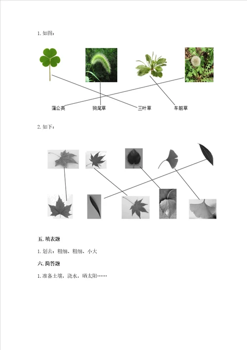 教科版科学一年级上册第一单元植物测试卷夺冠系列