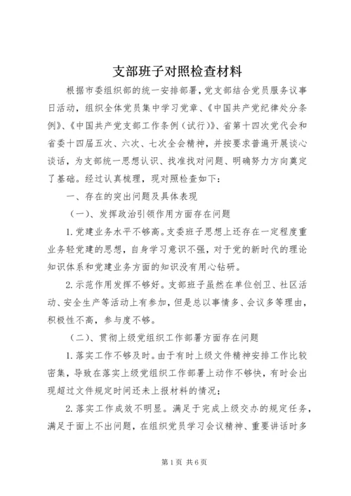 支部班子对照检查材料.docx